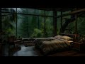 Find Peace in the Rain Forest 🌧️🌿 Calming Piano Melodies to Dispel Worries 🎹💤 Restful Sleep