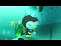 @Octonauts - Squid Games 🦑 | One Hour Special! | Cartoons for Kids | Underwater Sea Education