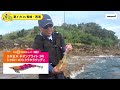 柘植学のエギング散歩 in 長崎県西海 シャローで攻略！夏のアオリイカ編