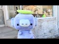 WE SENT WUMPUS TO SURGERY