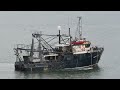 Newfish 2 Fishing Trawler 27 Jul, Turning Around in Cairns Harbour.