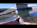 What's Hiding at Pueblo Spillway   fishing below Lake Pueblo Dam