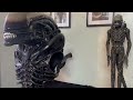 Queen Studios 1:1 Scale H.R Giger Alien Big Chap Bust Statue review