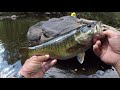 Creek Fishing With A Coca Cola Can!