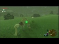 Breath of the Wild: Analyzing Horse HP