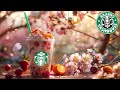 【Exquisite Morning STARBUCKS Music】Enjoy the best music in April🌸Lively and lively jazz music greets