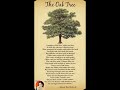 The Oak Tree