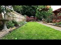 Red Kites Swooping down to take chicken from the lawn.