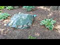 June Garden tour - Peony bed