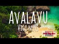 Vigi Nuts - Avalavu