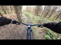 Watchwood Plantation MTB Trails