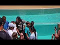 Tom the funniest mime at SeaWorld Orlando 😂🤣 Tom the mime #tomthemime #seaworldmime