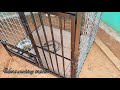 How to make Dog cage kerala പട്ടിക്കൂട് ഉണ്ടാക്കിനോക്കിയാലോ