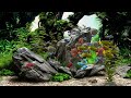 Dream Aquarium - 2 Hours - 8 Tanks (4K)