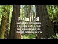 Draw Me Close To You: Instrumental Soaking Worship | Prayer Music With Scriptures🌿CHRISTIAN piano