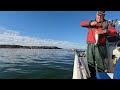 Spring Time Texoma Striper Fishing using the Thumper