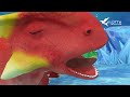 Dino Trainers S1 Compilation [19-22] | Dinosaurs for Kids | Trex | Cartoon | Toys | Robot | Jurassic