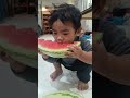 watermelon lover