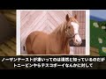 「日本競馬史に影響を及ぼした種牡馬5頭を選べ」に対するみんなの反応集