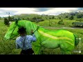 The Best Horse Tamer | Taming unique and Mysterious Horses you will ever see