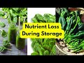 Spinach: Top 5 Super Nutrients in Spinach and Their Fate Over Storage #spinach #greens #leaf