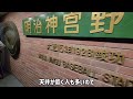 【どんな雰囲気!?】明治神宮野球場　歴史ある神宮球場の夏ナイターはエンタメ性でも他球場に負けてないぞ！（内野席S）