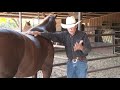 Picking up the Feet - Everyday Horsemanship