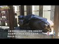 【大阪市内サイクリング】大阪市 城東区 八坂神社  生野区 四條遥拝所 西瓜破神社天神社他  西成区 天龍大神  西成北区 鶯塚他       #サイクリング  #大阪市  #城東区  #八坂神社