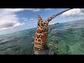 Deep Primitive Spearfishing | Bahamas Trip | No Storyline