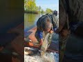 Best Technical Tools Fish Trap  Of Catching Lot Of Fish🐟🎣#shorts #viral #fishing