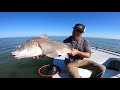 BULL REDFISH (fly fishing)
