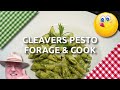 Cleavers Pesto ft. Jack o' the Hedge | Forage and Cook | Wild Food 😋