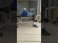 Sunday workout short clip