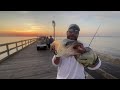 How to snag Bunker for BIG STRIPED BASS ! Tutorial