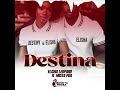Mista Poa feat Elisha Leopard-Destina (Audio)