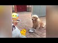 You Laugh You Lose😜👋Funniest Dogs and Cats 2024😻🐶