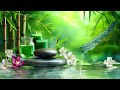 Relaxing Nature Music for Stress Relief🌿Deep Relaxation, and Sleep Enhancement with Nature Sounds