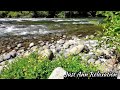 3 hours nature video - relaxing sounds of river  stream - white white noise for sleeping,relaxation