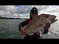 Snapper Fishing at Kawakawa Bay: Tips, Lures, and Techniques