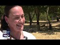 Bay Area woman told to stop giving water to homeless | KTVU