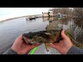 Giant Lock and Dam Walleye | Pre-spawn walleye below a giant river dam