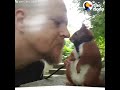 Squirrel Who Falls From Roof Finds Dad Who Won't Give Up on Him - TINTIN | The Dodo