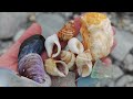 I found SHELLS, SEA GLASS & BEACH STONES at these 2 MAINE locations!