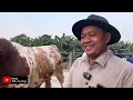 JUARA 1 KONTES SAPI RAKSASA 2024 SORE INI