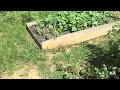 Building a garden from scratch