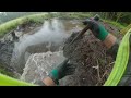 Beaver Dam Removal With Excavator No.32 - A Large Beaver Dam Between The Trees