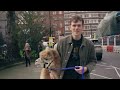 Testing 'PET FRIENDLY' Shops with Alpaccas