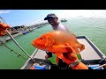 MEMANCING SANGKAR KUALA GULA SIAKAP MERAH HAMPIR 4KILO #VLOG45