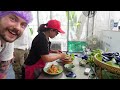 Best Vegan Cooking Course in Bangkok