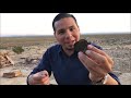 Eating Cactus and Other Desert Edibles(Yucca, Ocotillo) -Junkyard Fox